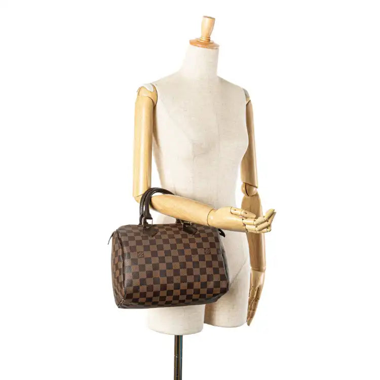 Louis Vuitton Damier Ebene Speedy 25