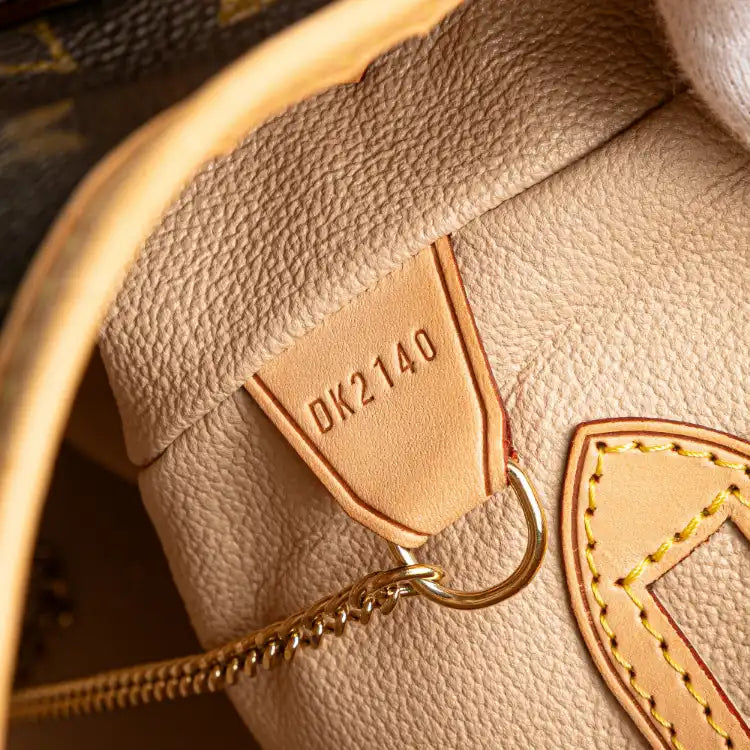 Louis Vuitton Monogram Petit Bucket