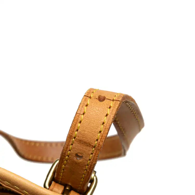 Louis Vuitton Monogram Petit Bucket