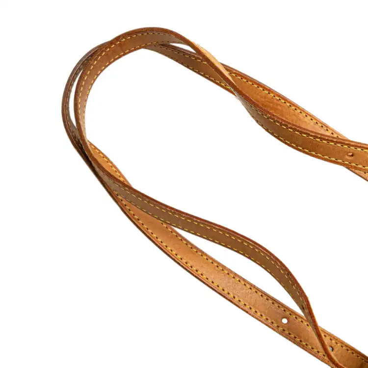 Louis Vuitton Monogram Petit Bucket