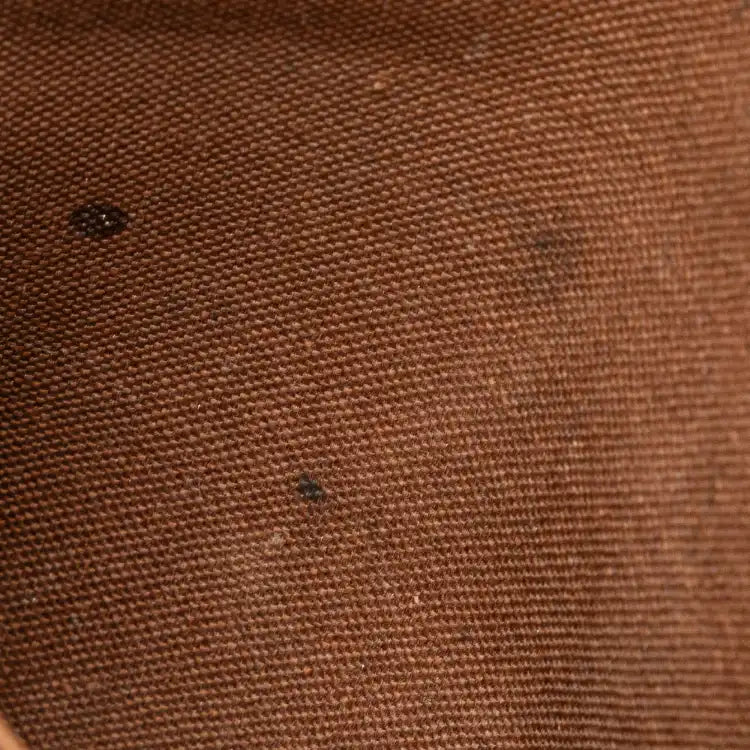 Louis Vuitton Monogram Sologne