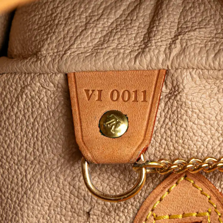 Louis Vuitton Monogram Petit Bucket