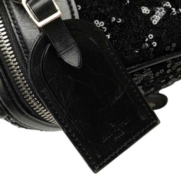 Louis Vuitton Monogram Sunshine Express Speedy 30