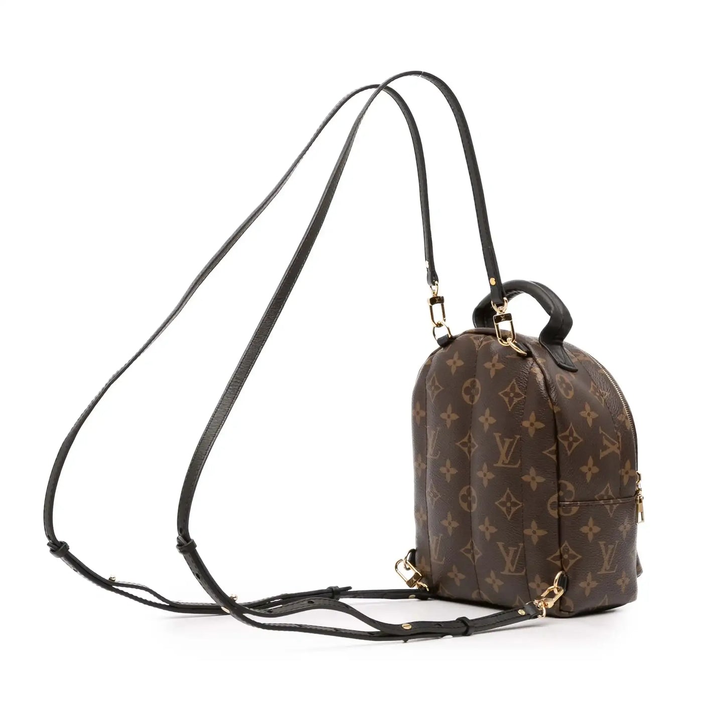 Louis Vuitton Monogram Mini Palm Springs