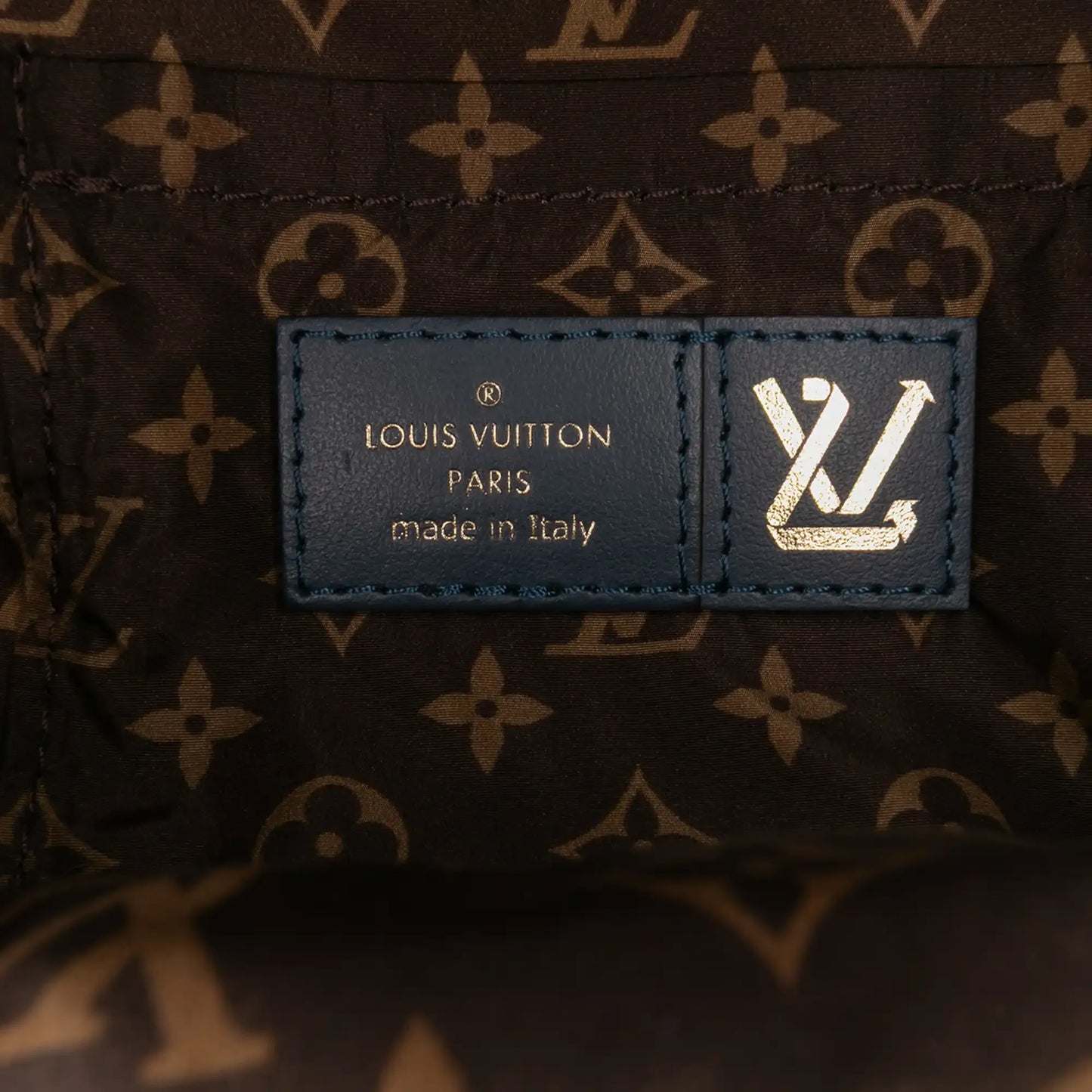 Louis Vuitton Monogram Econyl Pillow Mini Palm Springs