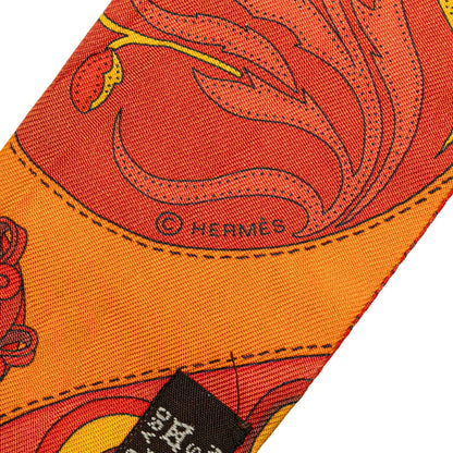 Hermès Festival Des Amazones Silk Twilly Scarf