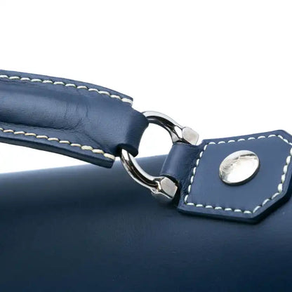 Goyard Goyardine Citadin PM