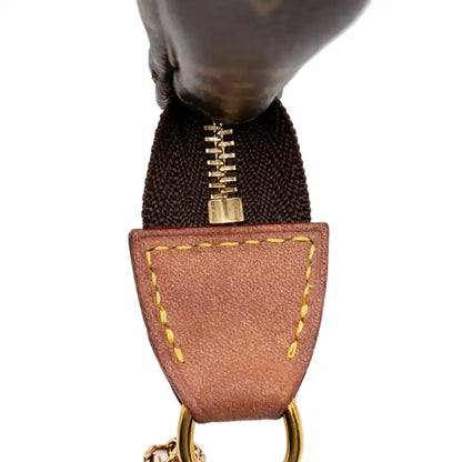 Louis Vuitton Monogram Mini Pochette Accessoires