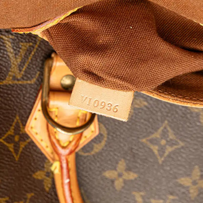 Louis Vuitton Monogram Alma PM