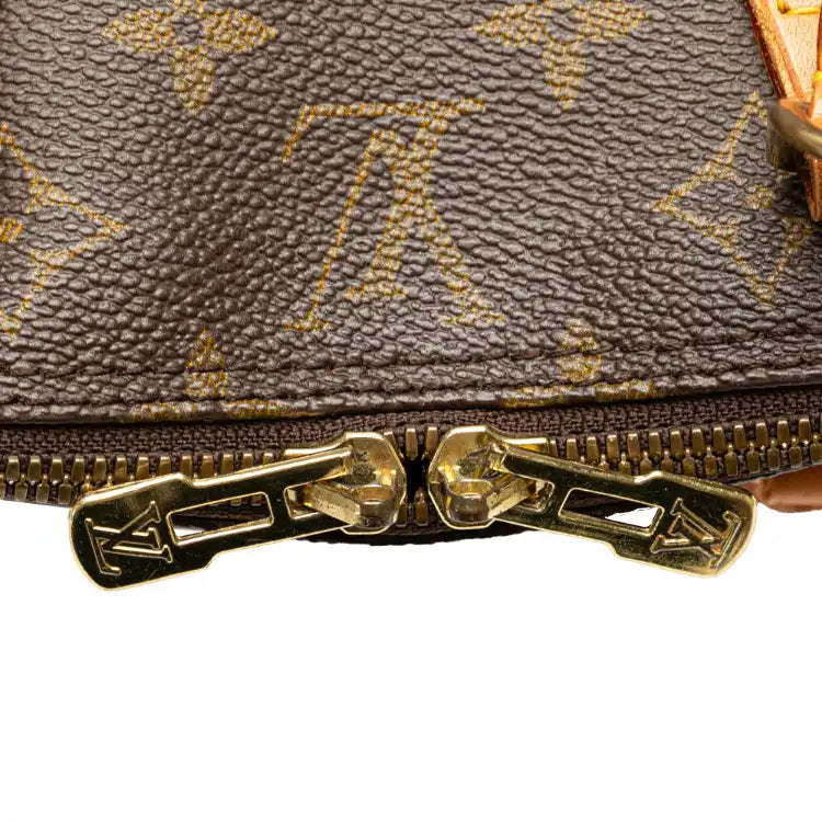 Louis Vuitton Monogram Alma PM