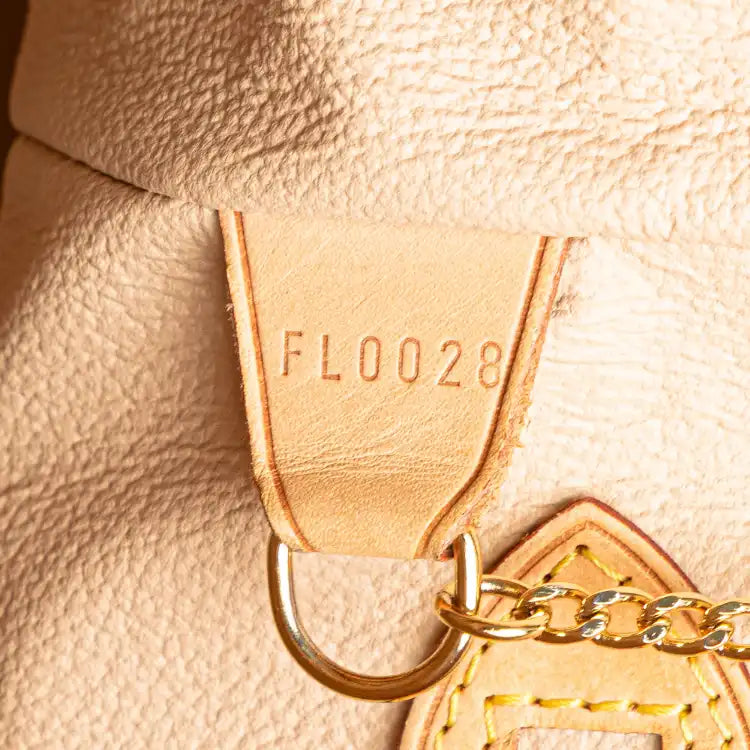 Louis Vuitton Monogram Petit Bucket