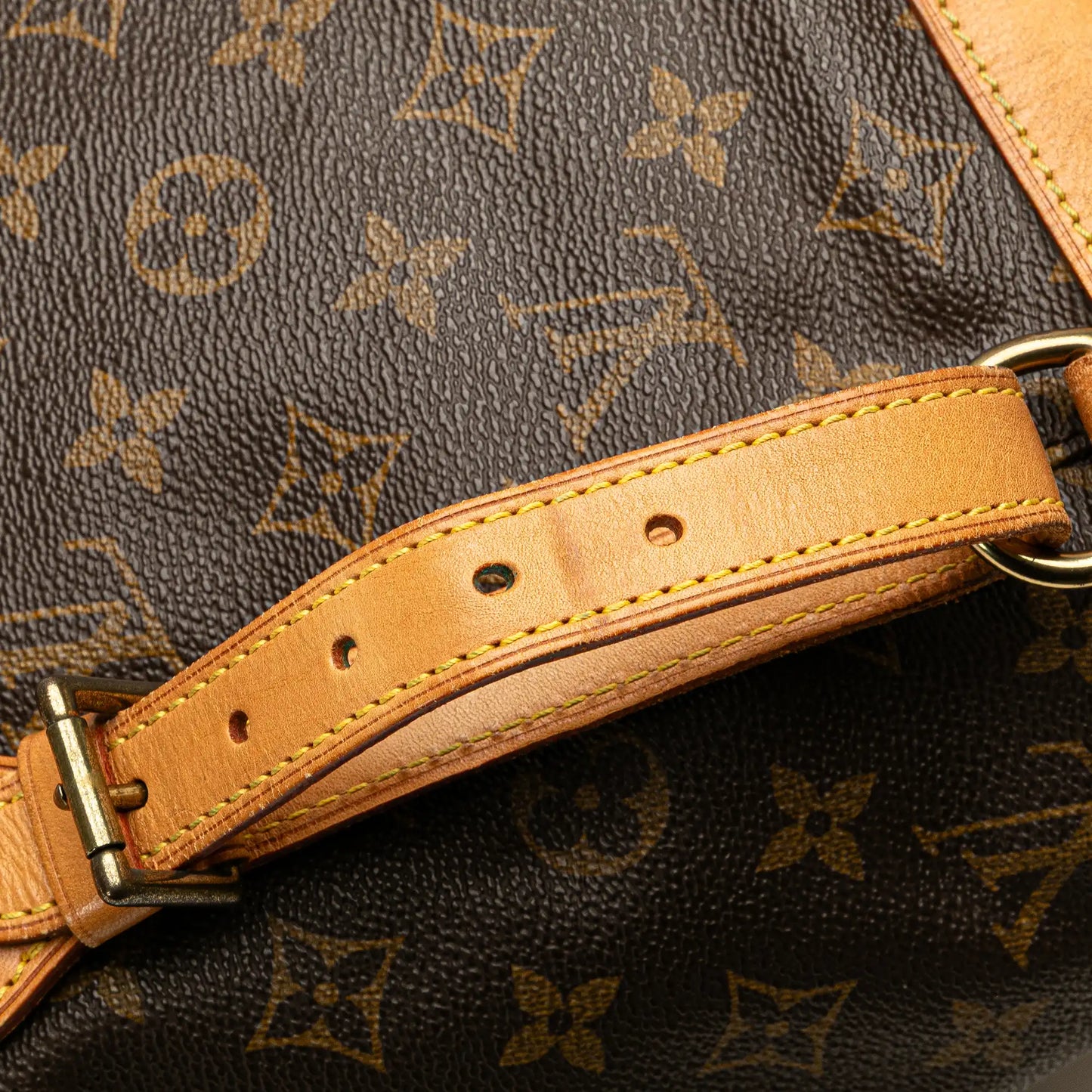 Louis Vuitton Monogram Montsouris GM