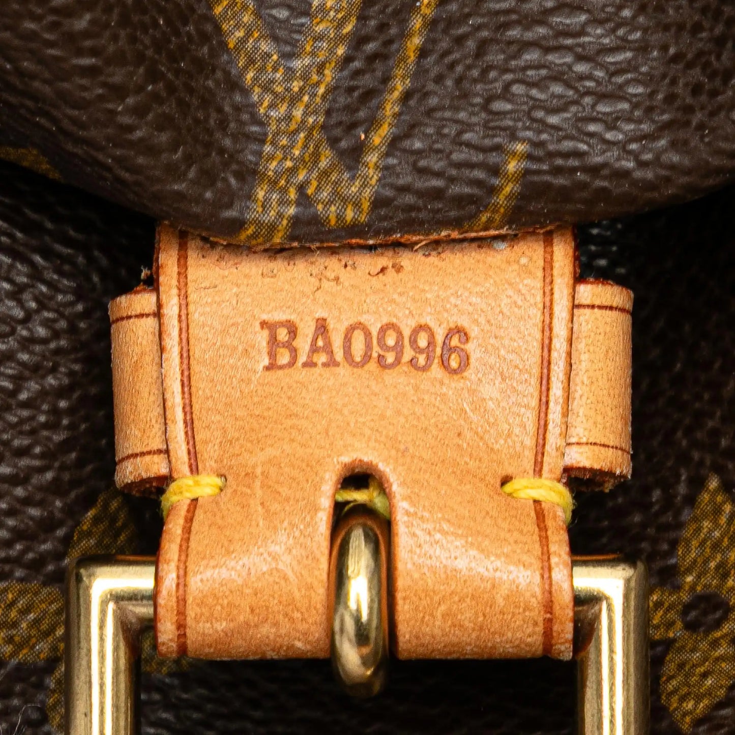 Louis Vuitton Monogram Montsouris GM