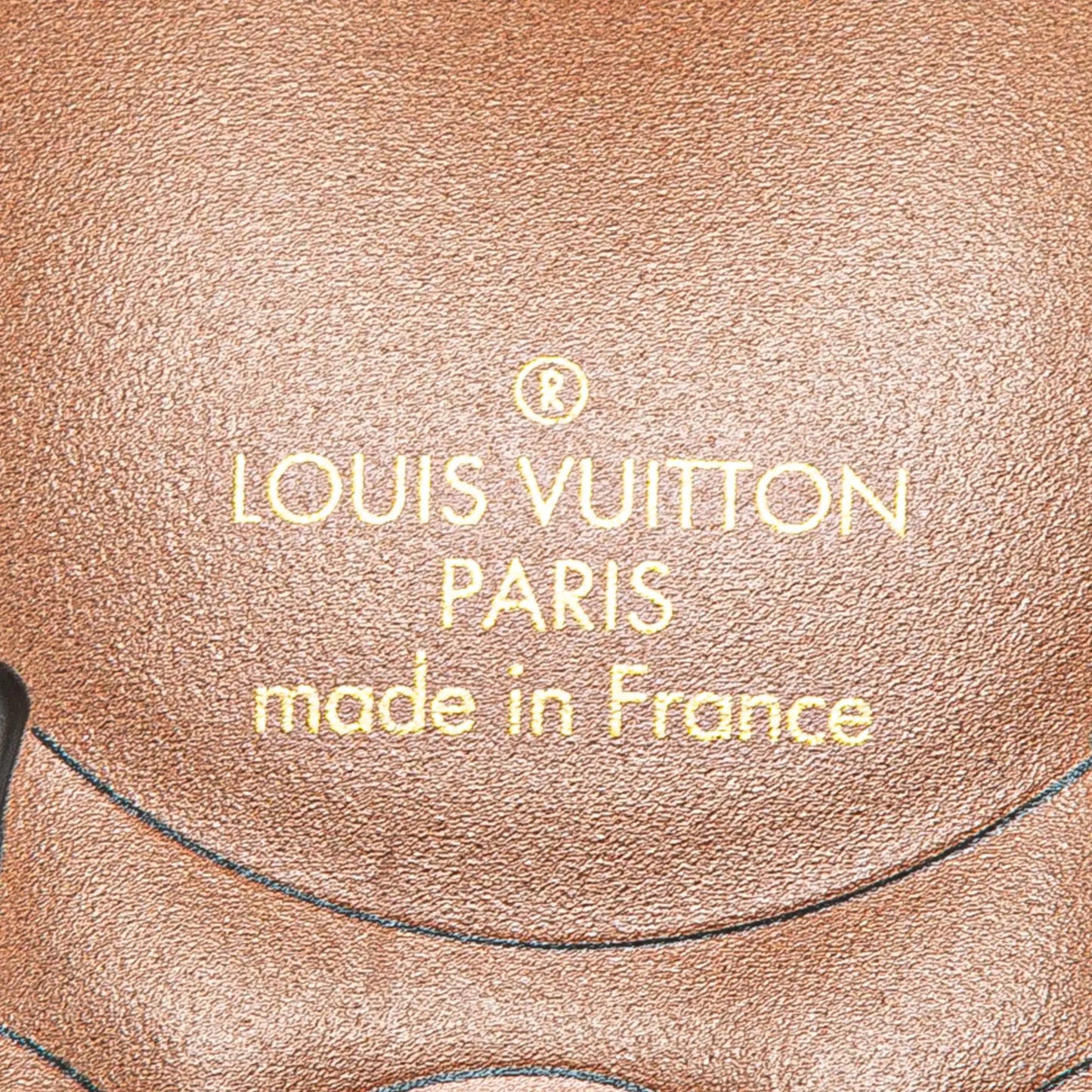 Louis Vuitton Monogram  and Leather Puppy Key Ring and Bag Charm