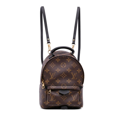 Louis Vuitton Monogram Mini Palm Springs