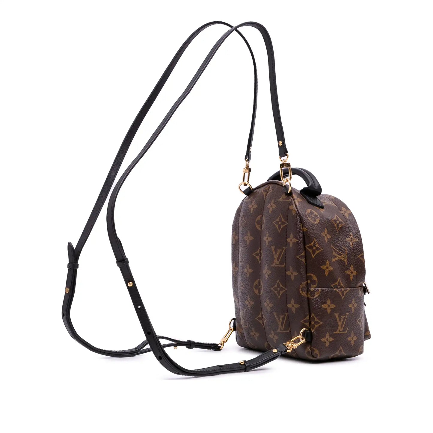 Louis Vuitton Monogram Mini Palm Springs