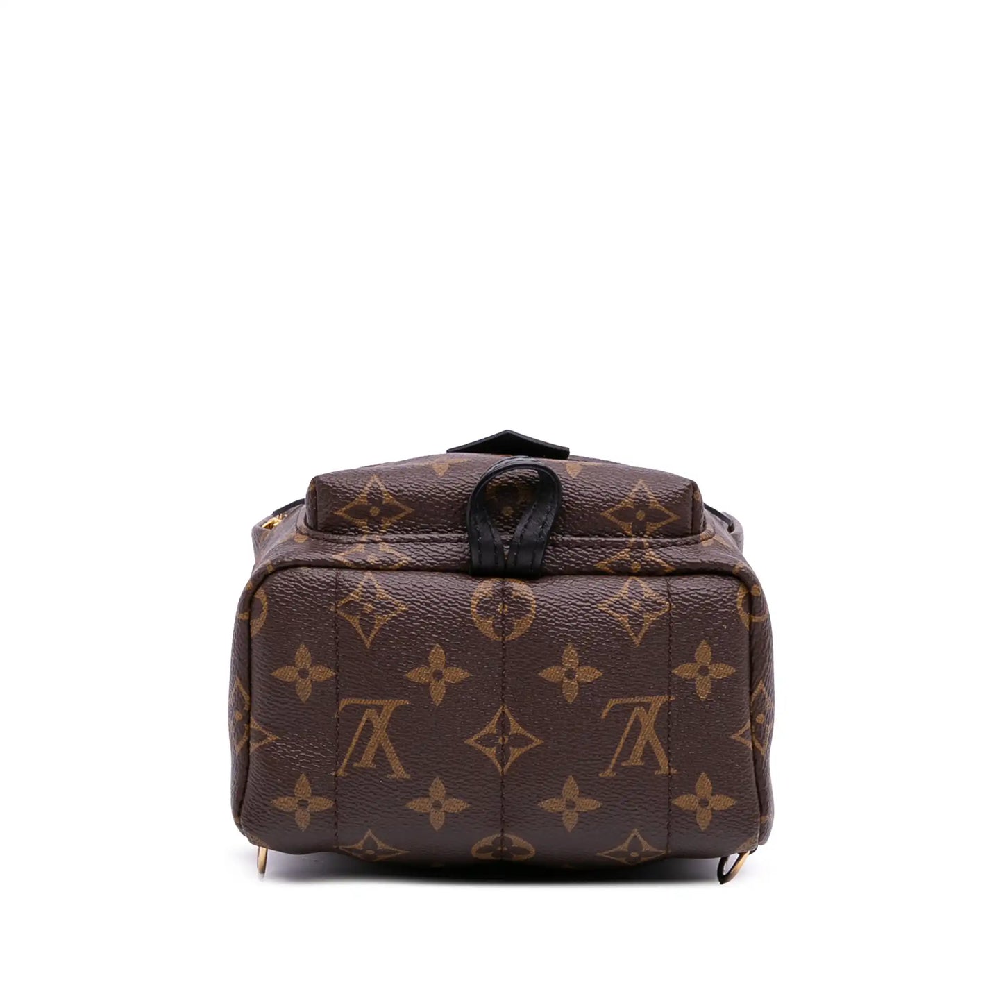 Louis Vuitton Monogram Mini Palm Springs