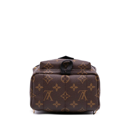 Louis Vuitton Monogram Mini Palm Springs