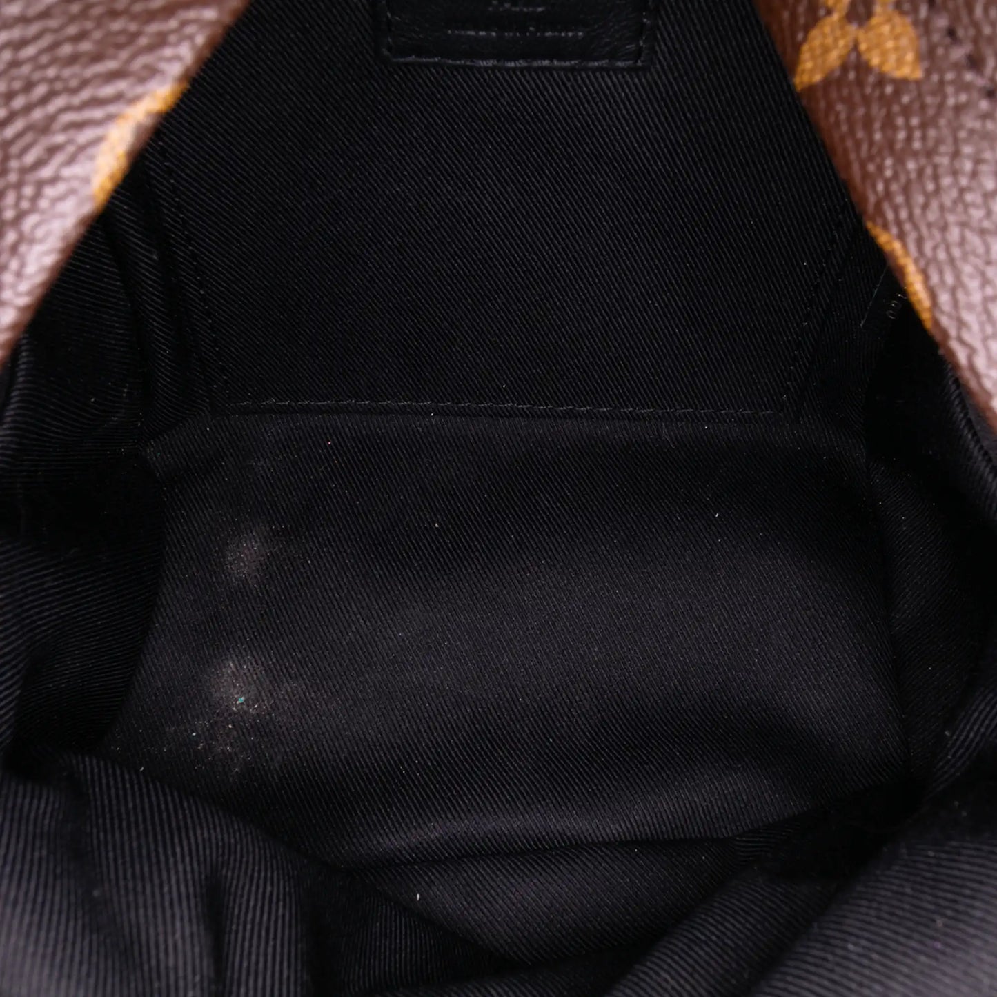 Louis Vuitton Monogram Mini Palm Springs