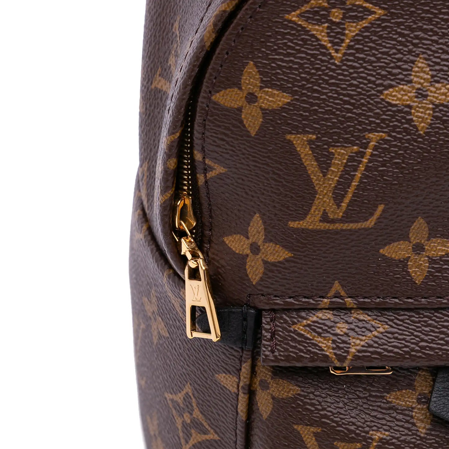 Louis Vuitton Monogram Mini Palm Springs