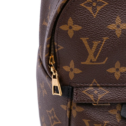 Louis Vuitton Monogram Mini Palm Springs