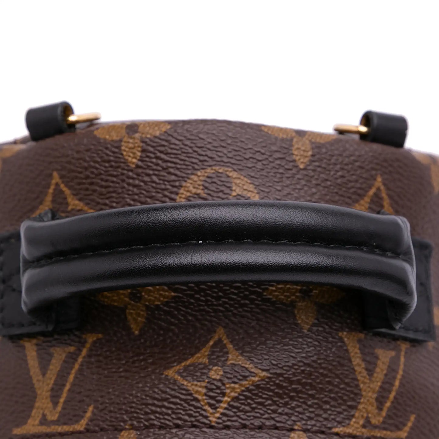 Louis Vuitton Monogram Mini Palm Springs