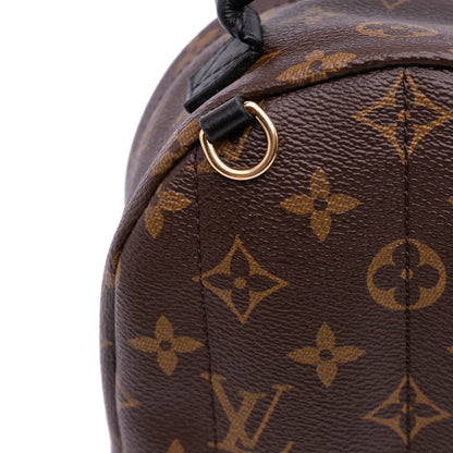 Louis Vuitton Monogram Mini Palm Springs