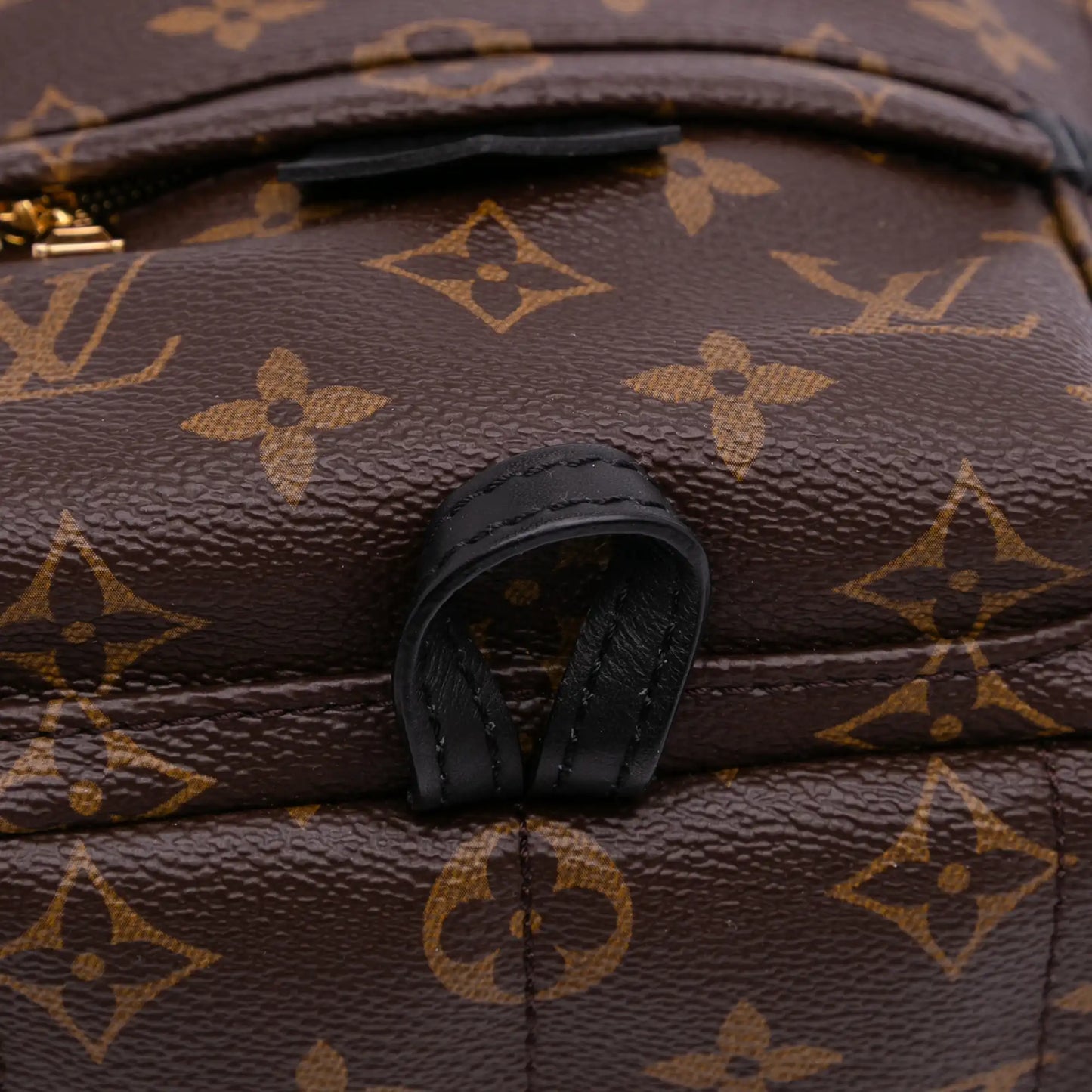 Louis Vuitton Monogram Mini Palm Springs