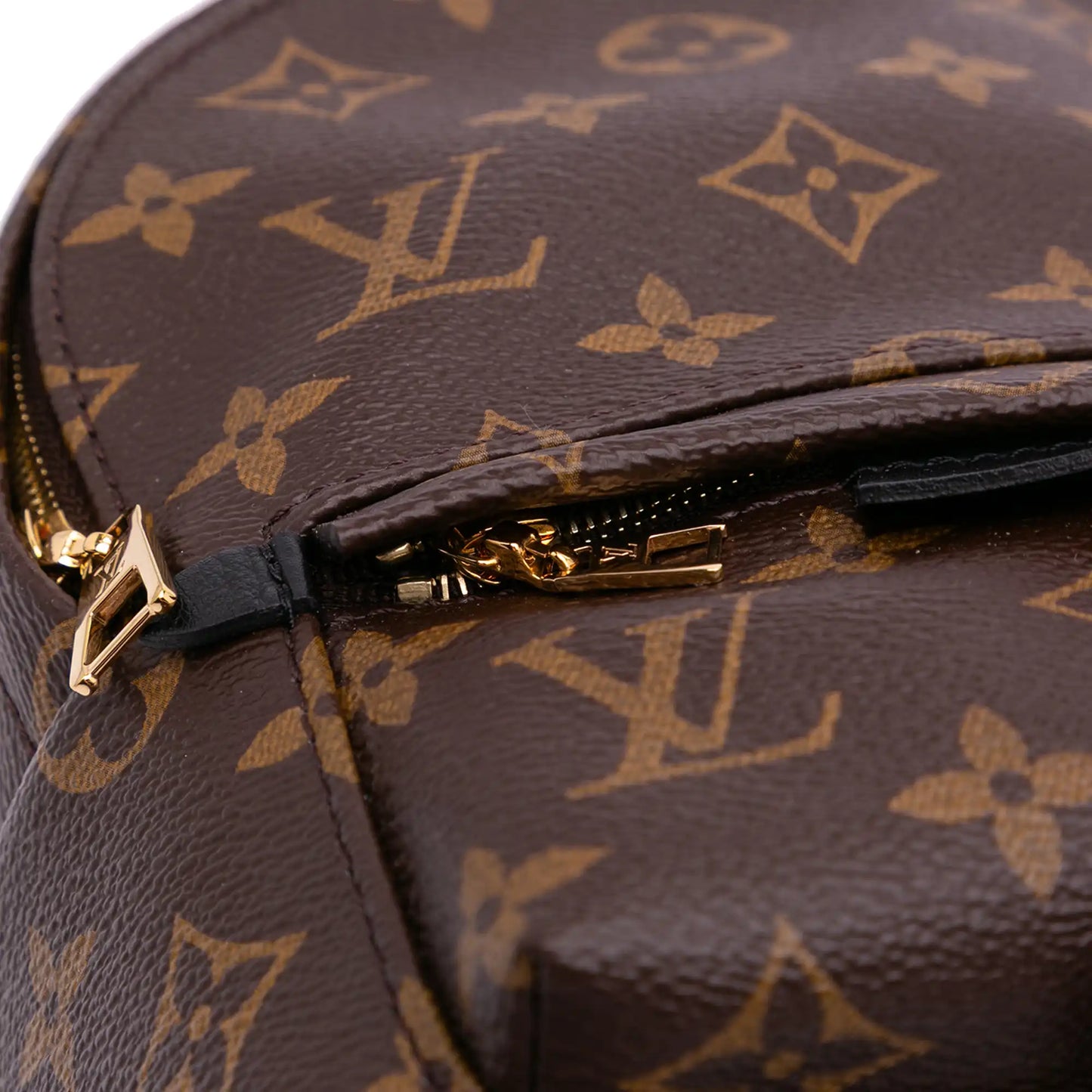 Louis Vuitton Monogram Mini Palm Springs