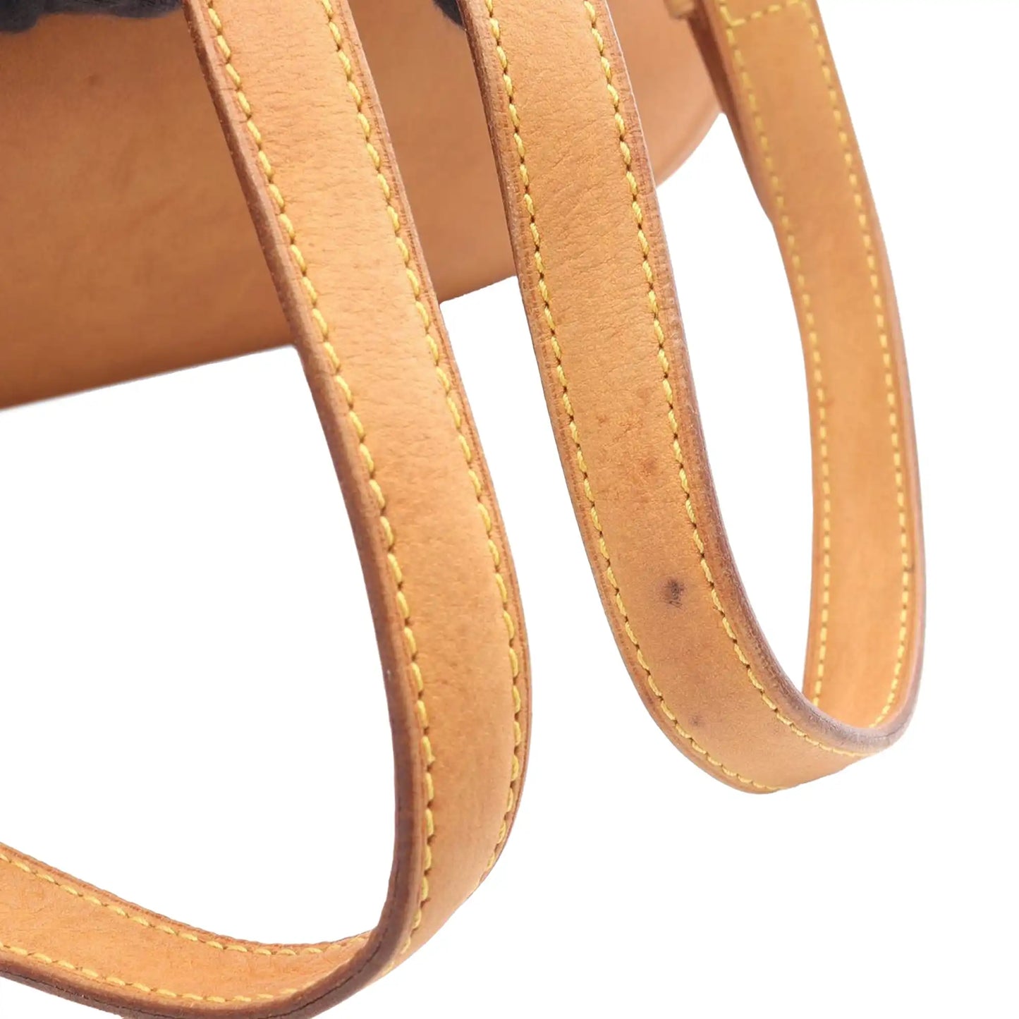 Louis Vuitton Monogram Montsouris MM