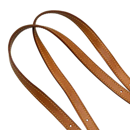 Louis Vuitton Monogram Petit Bucket