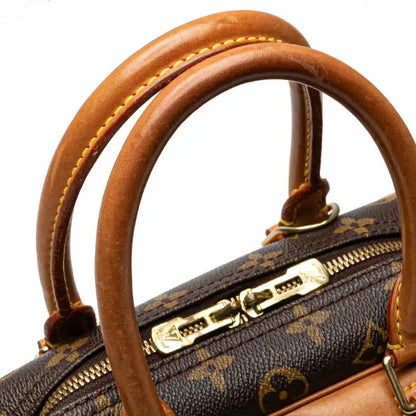 Louis Vuitton Monogram Deauville
