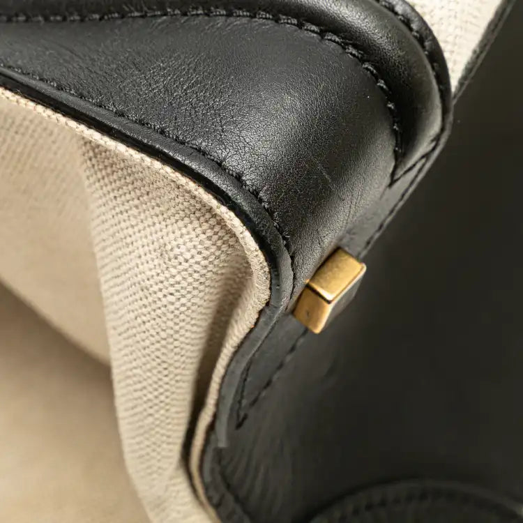 Celine Mini Canvas Tricolor Luggage Tote