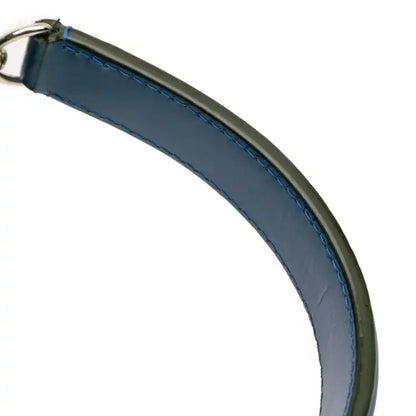 Louis Vuitton Epi NeoNoe MM