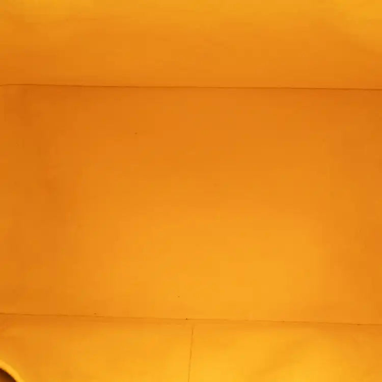 Louis Vuitton Epi Alma PM