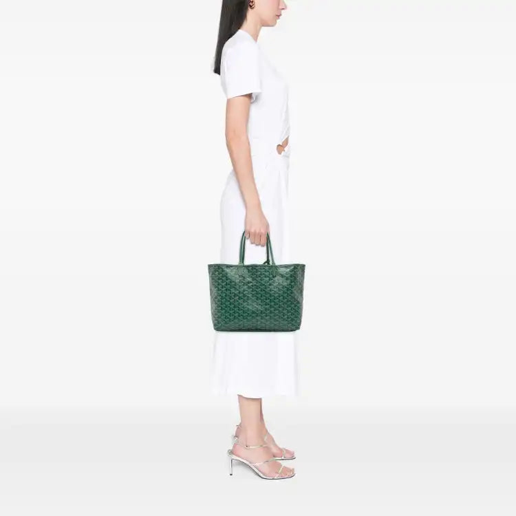 Goyard Goyardine Saint Louis PM