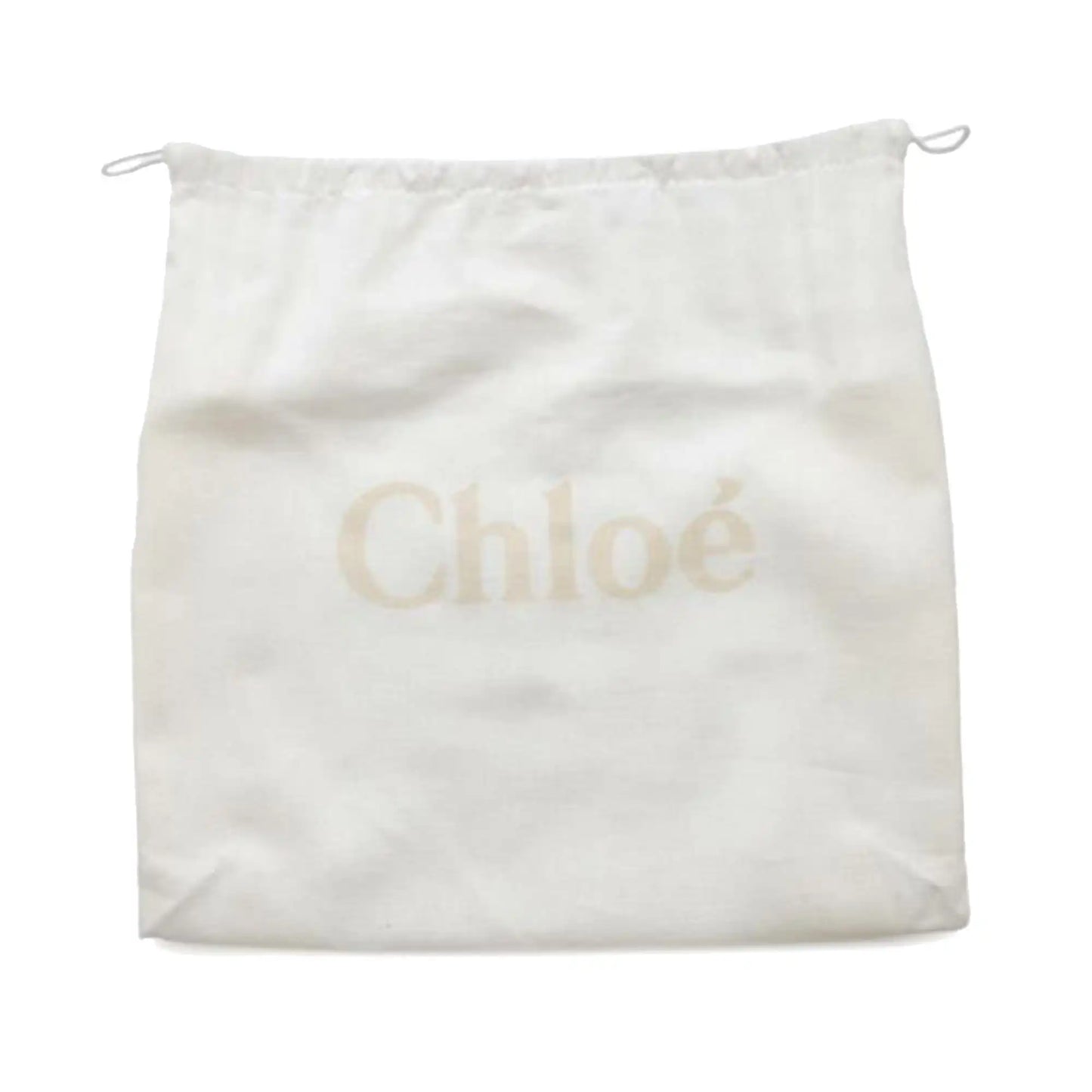 Chloé Small Canvas Woody Tote
