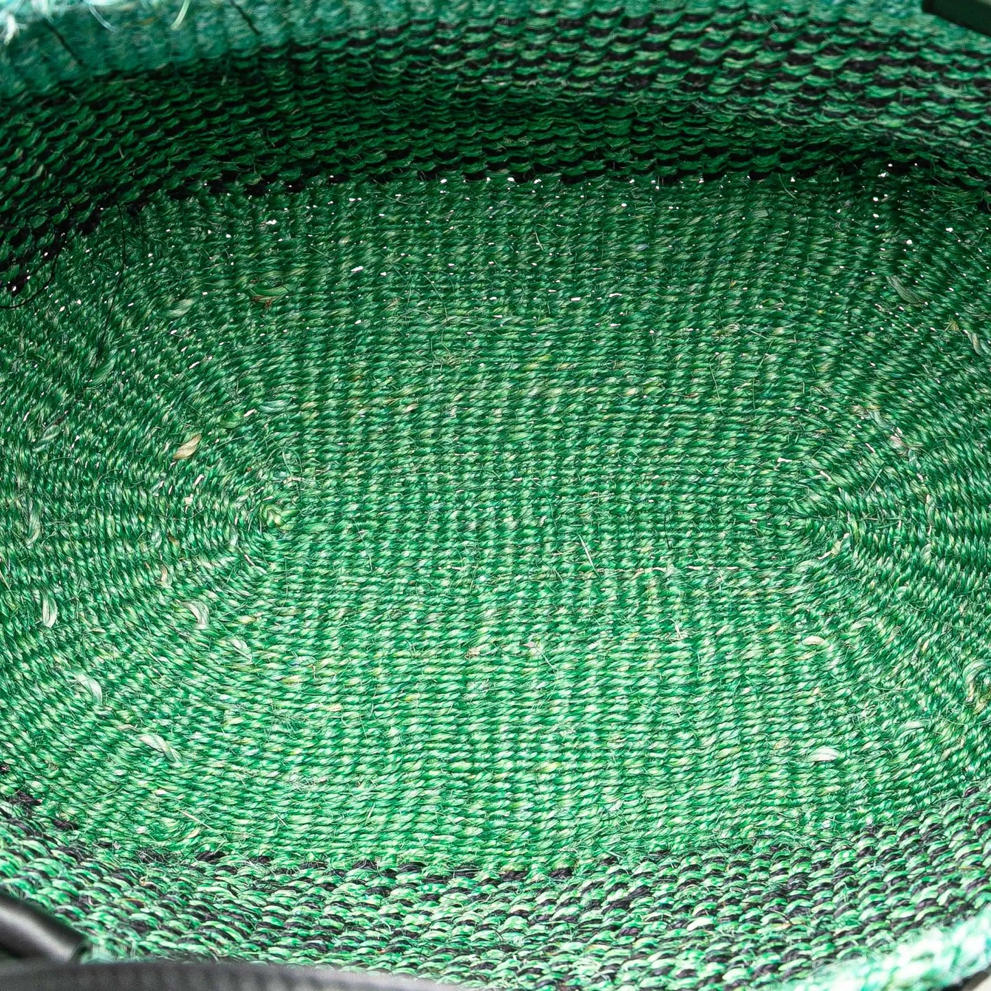 LOEWE Paula's Ibiza Lizard Embroidered Raffia Tote