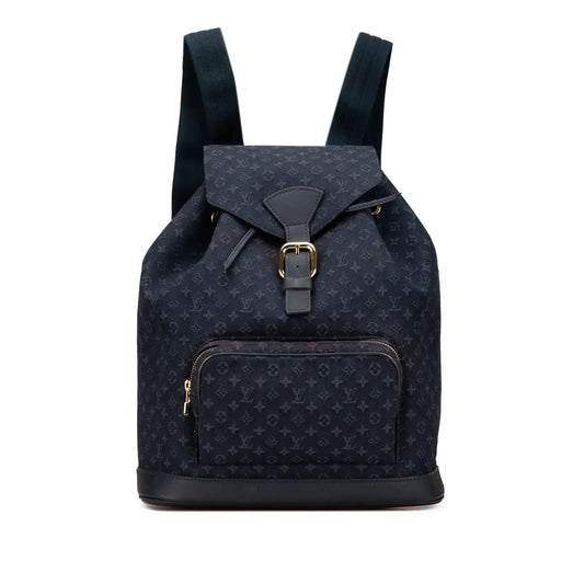 Louis Vuitton Monogram Mini Lin Montsouris GM