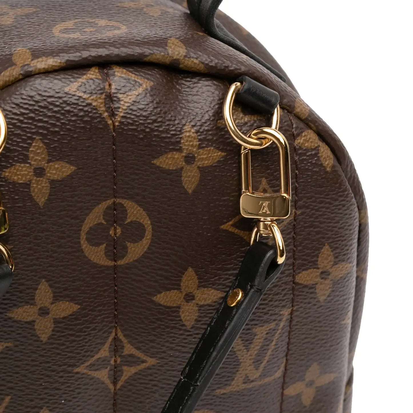 Louis Vuitton Monogram Mini Palm Springs
