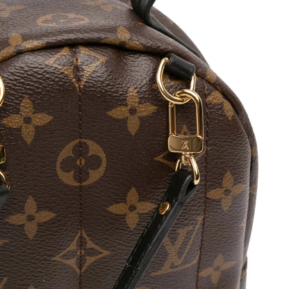 Louis Vuitton Monogram Mini Palm Springs