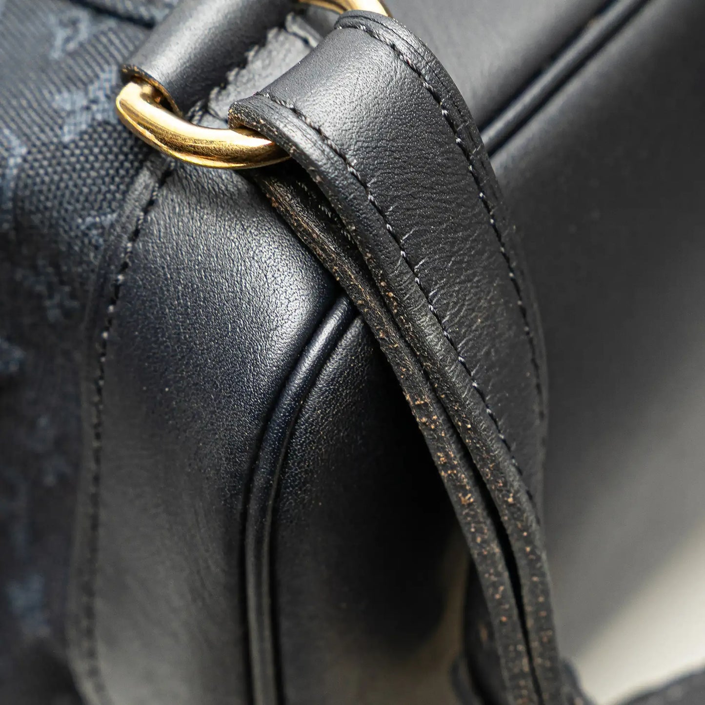 Louis Vuitton Monogram Mini Lin Montsouris GM