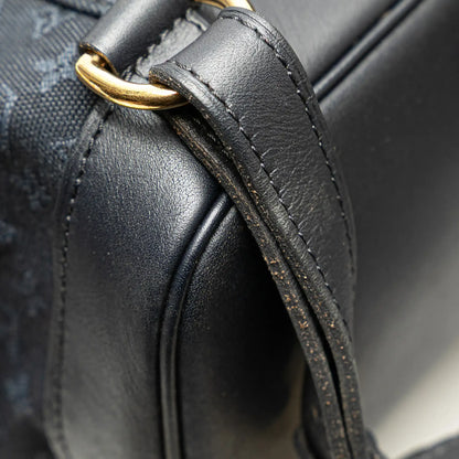 Louis Vuitton Monogram Mini Lin Montsouris GM