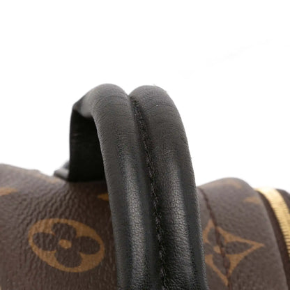 Louis Vuitton Monogram Mini Palm Springs