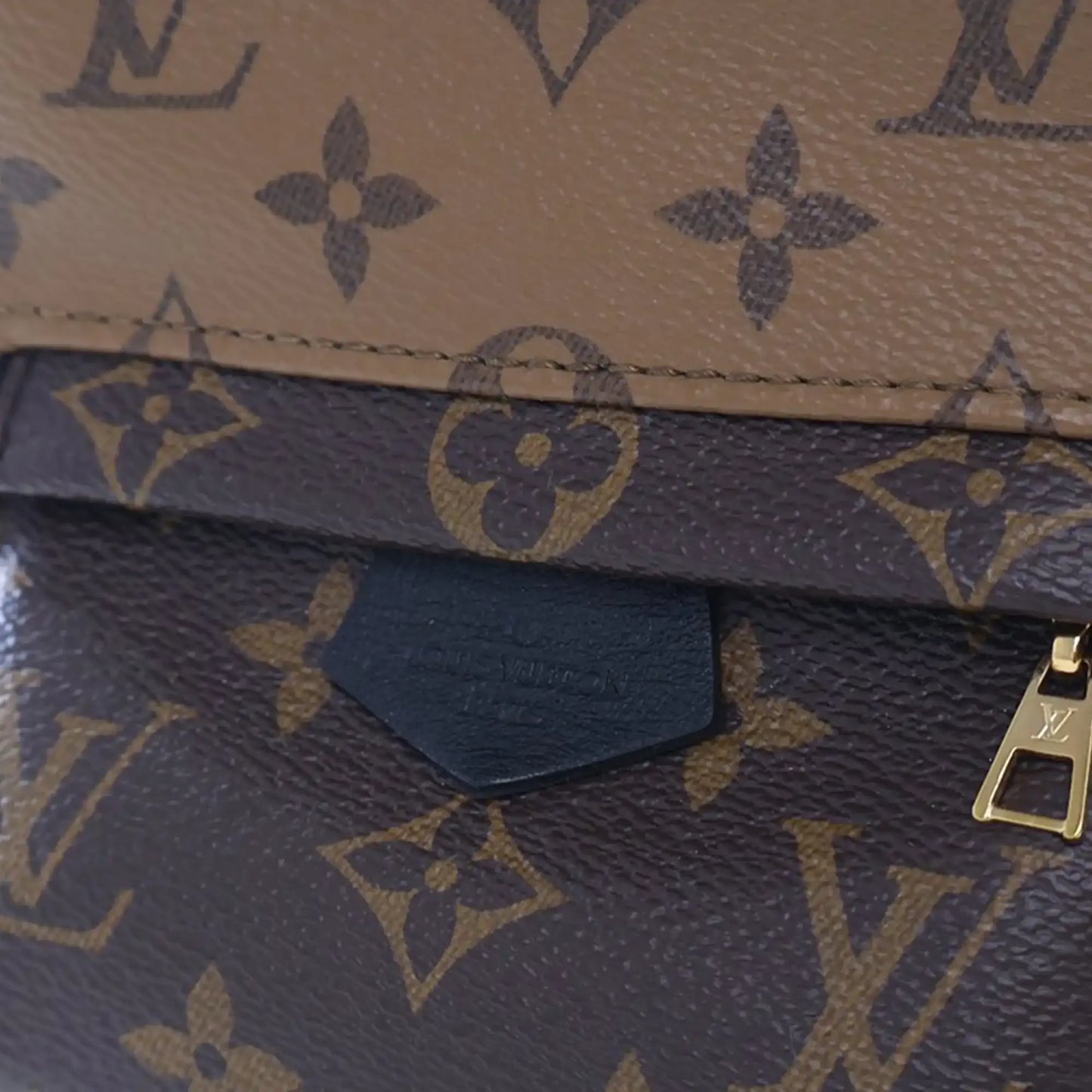 Louis Vuitton Monogram Reverse Mini Palm Springs