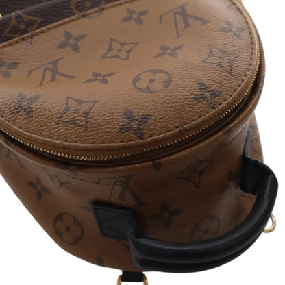 Louis Vuitton Monogram Reverse Mini Palm Springs