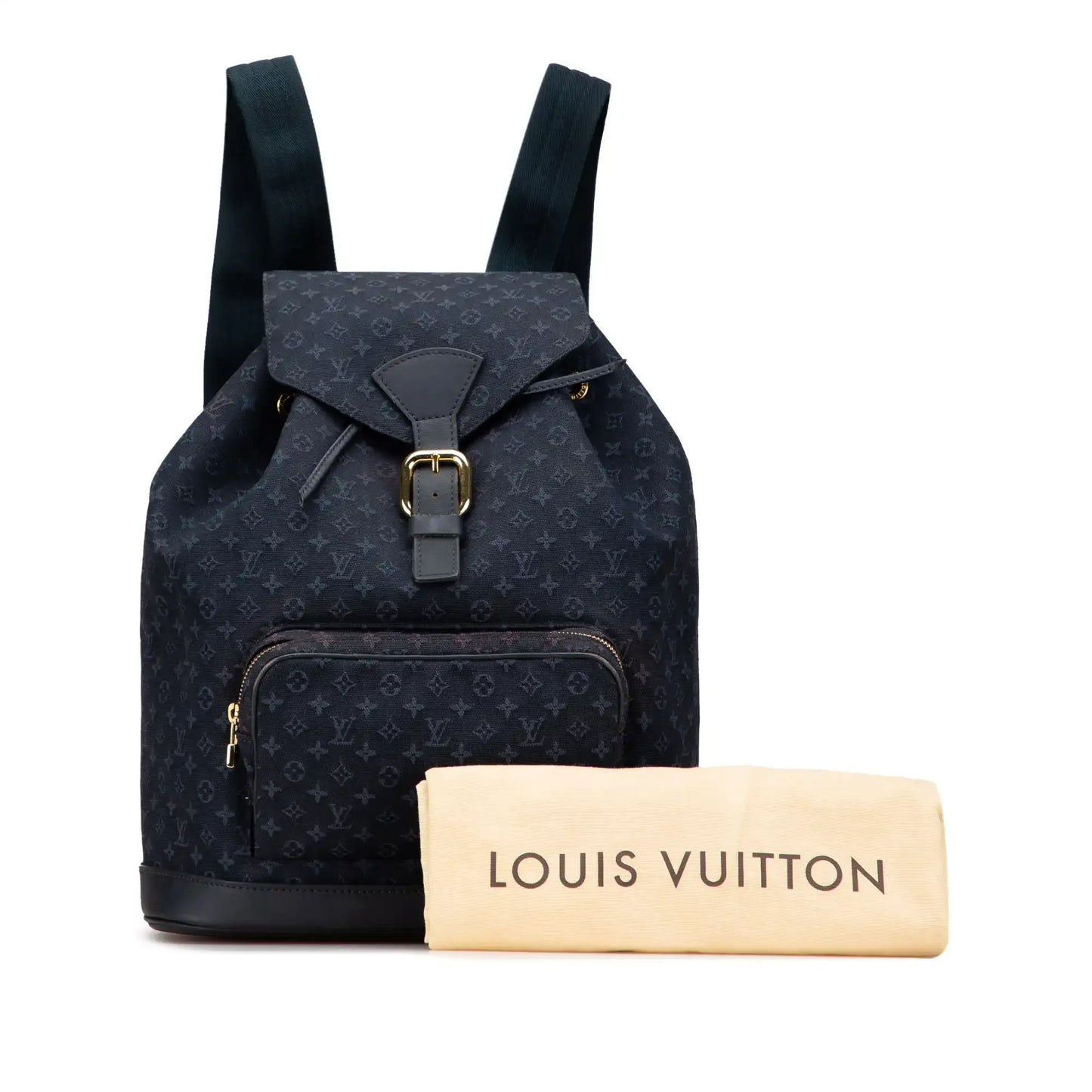Louis Vuitton Monogram Mini Lin Montsouris GM