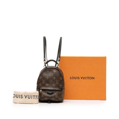 Louis Vuitton Monogram Mini Palm Springs