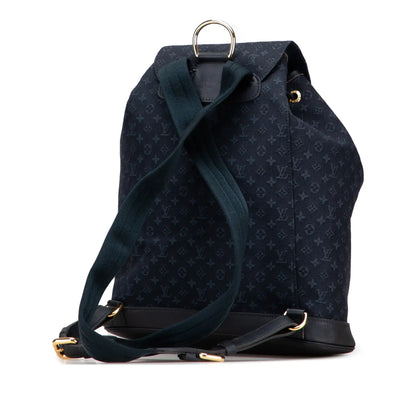 Louis Vuitton Monogram Mini Lin Montsouris GM