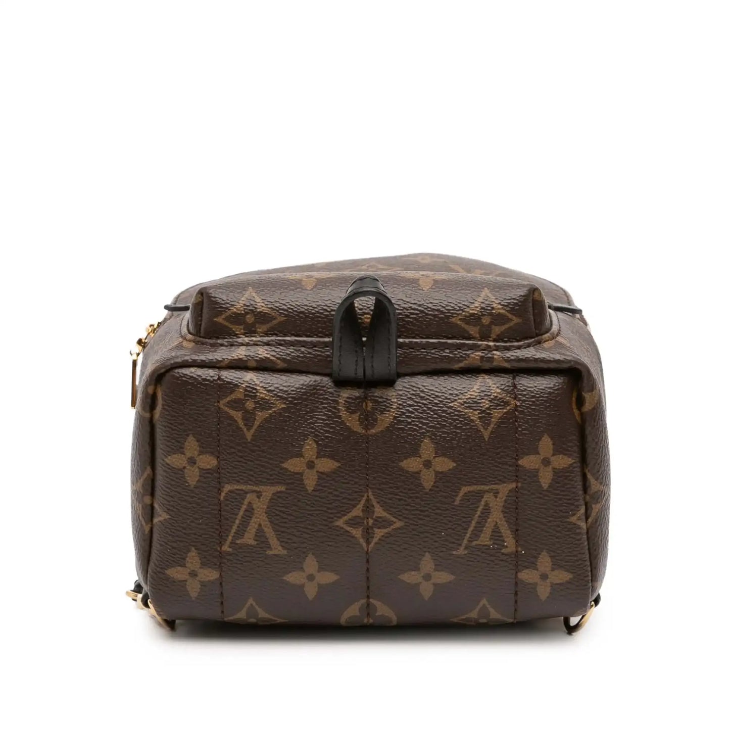 Louis Vuitton Monogram Mini Palm Springs